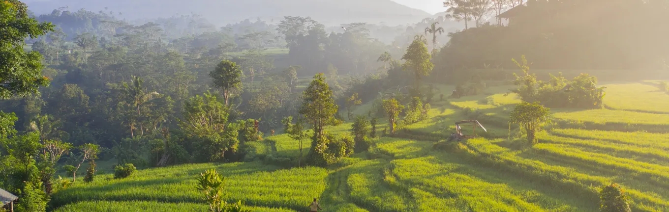 eSIM Indonesia za potovanja