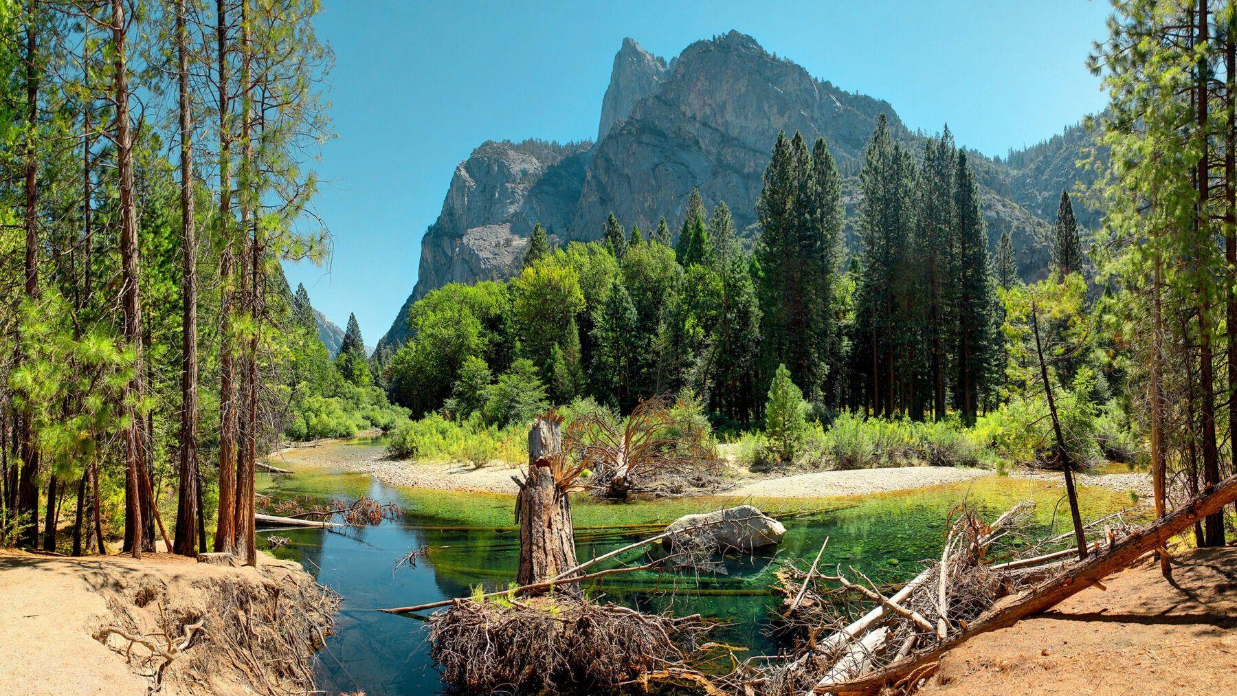 Sequoia park