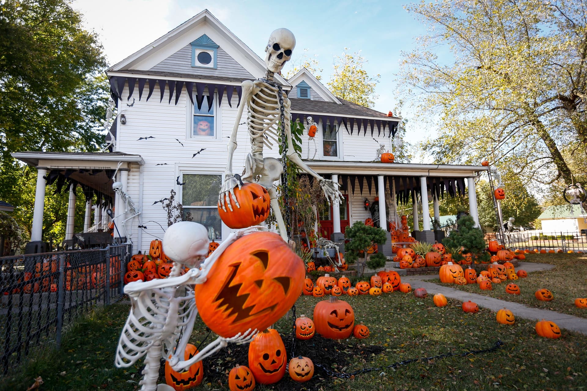 Halloween Decorations