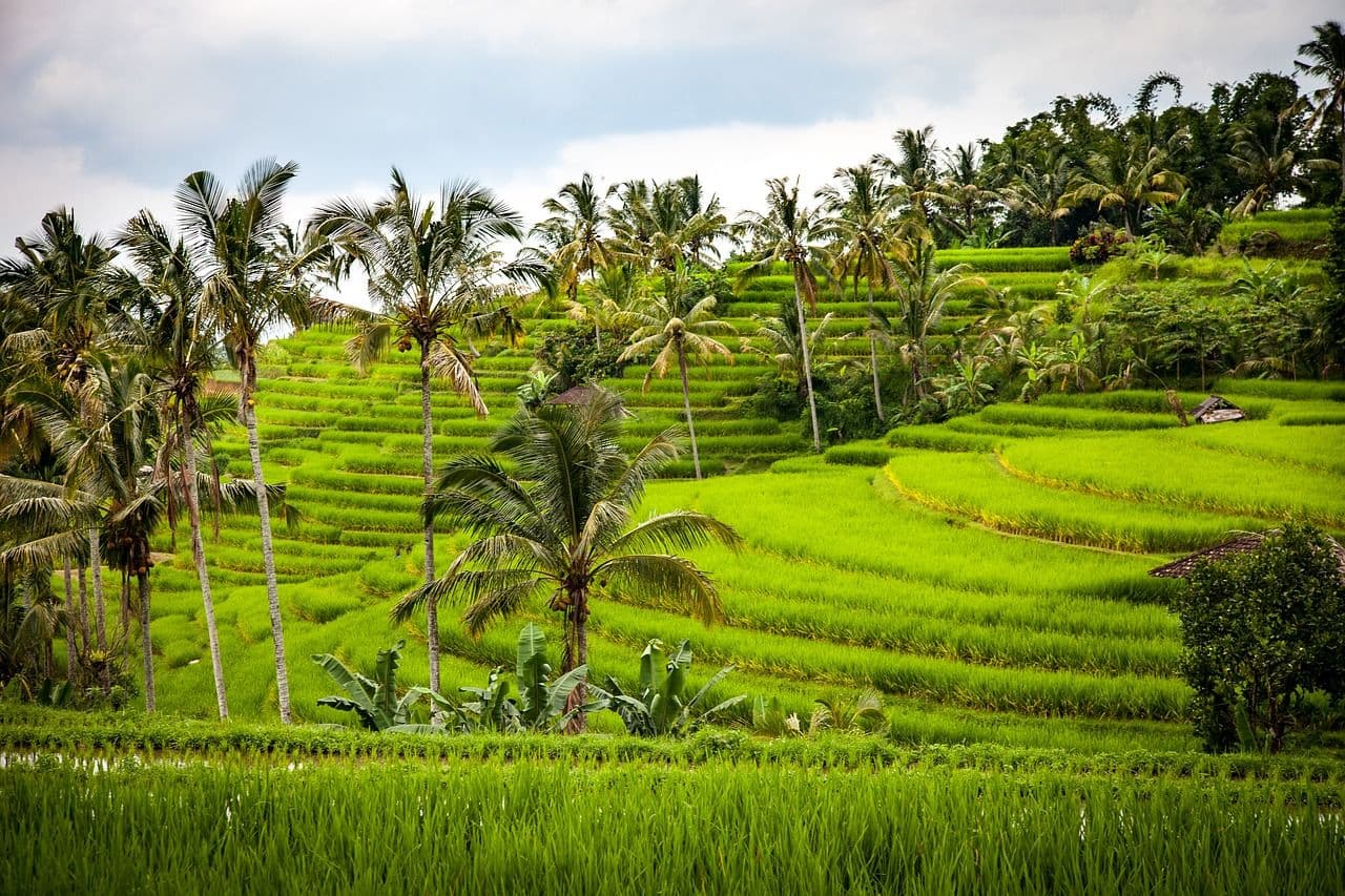 Indonesia scenery