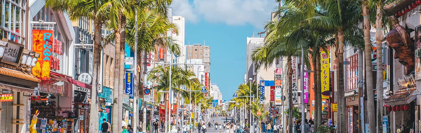 eSIM Japonia pentru călătorii