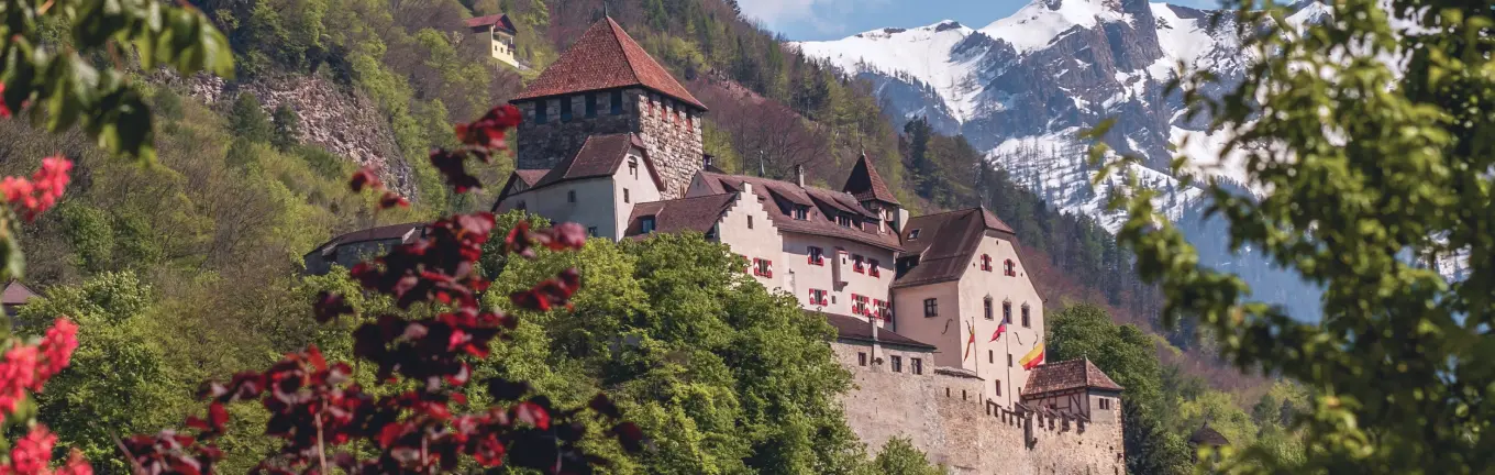 еСИМ Liechtenstein за путовања