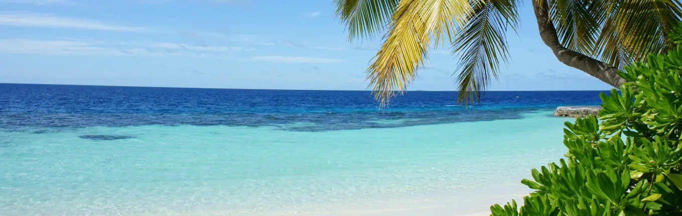 eSIM Тонга для путешествий