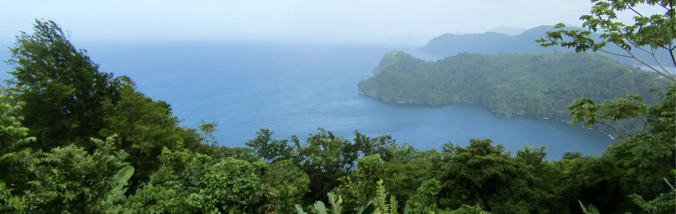 eSIM Trinidad e Tobago per i viaggi