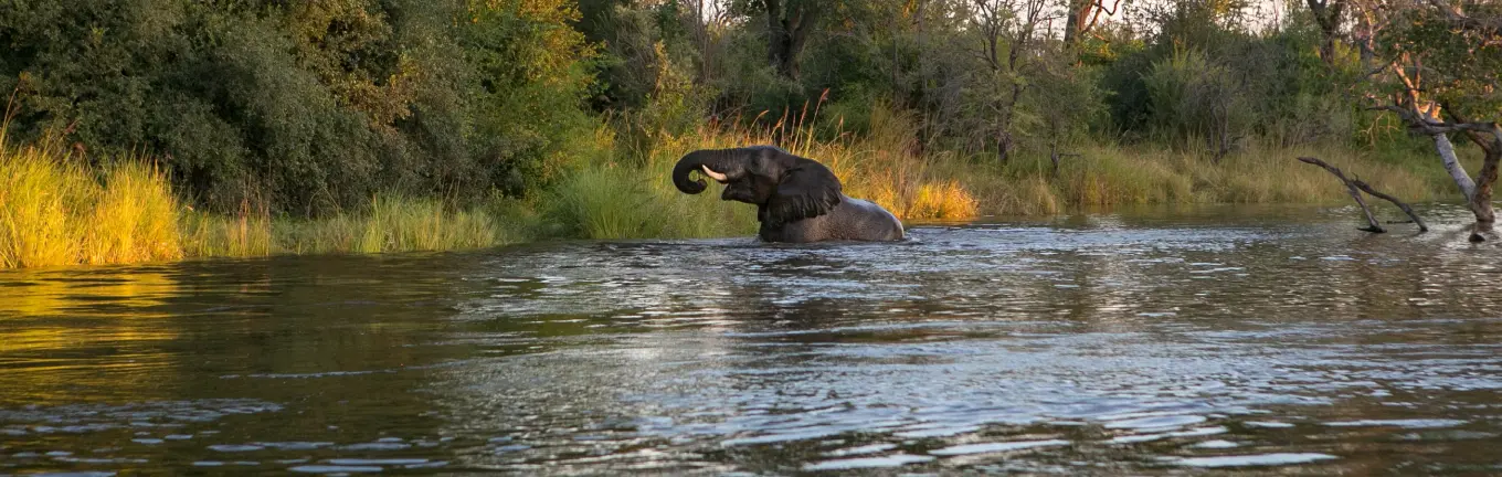 eSIM Замбия для путешествий